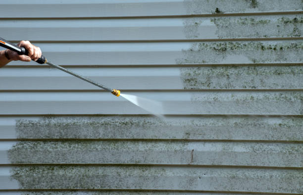 Best Fence Pressure Washing  in Indialantic, FL