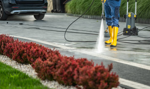 Best Roof Power Washing Services  in Indialantic, FL