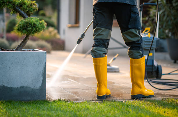 Best Pressure Washing Near Me  in Indialantic, FL